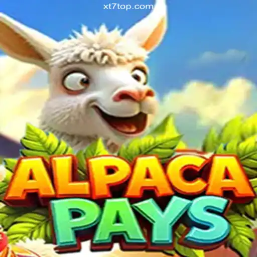 Discover the Excitement of AlpacaPays and the Thrills of XT7.com